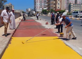 حملات تجميل ورصف بدسوق وتنفيذ مشروع الصرف الصحي بقرية الشباسية 19 - جريدة المساء