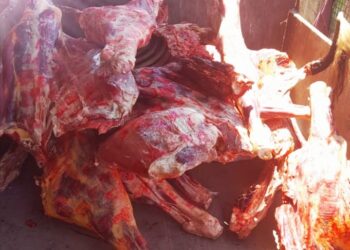 ضبط 34 طن لحوم وجبن غير صالحة واحتكار 25 طن حبوب متنوعة بثلاجة بفوه 17 - جريدة المساء