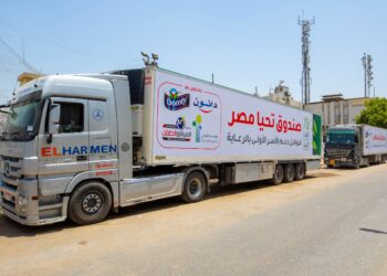 صندوق "تحيا مصر" ينظم قافلة حماية اجتماعية لرعاية 2000 أسرة بالجيزة 28 - جريدة المساء