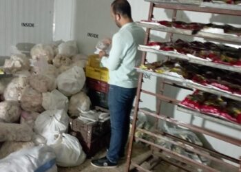 الصحة:  ضبط 3 أطنان أغذية مشكوك في صلاحيتها قبل تداولها في الأسواق 35 - جريدة المساء