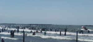 شواطئ رأس البر .. زحام شديد في ثاني أيام العيد 45 - جريدة المساء