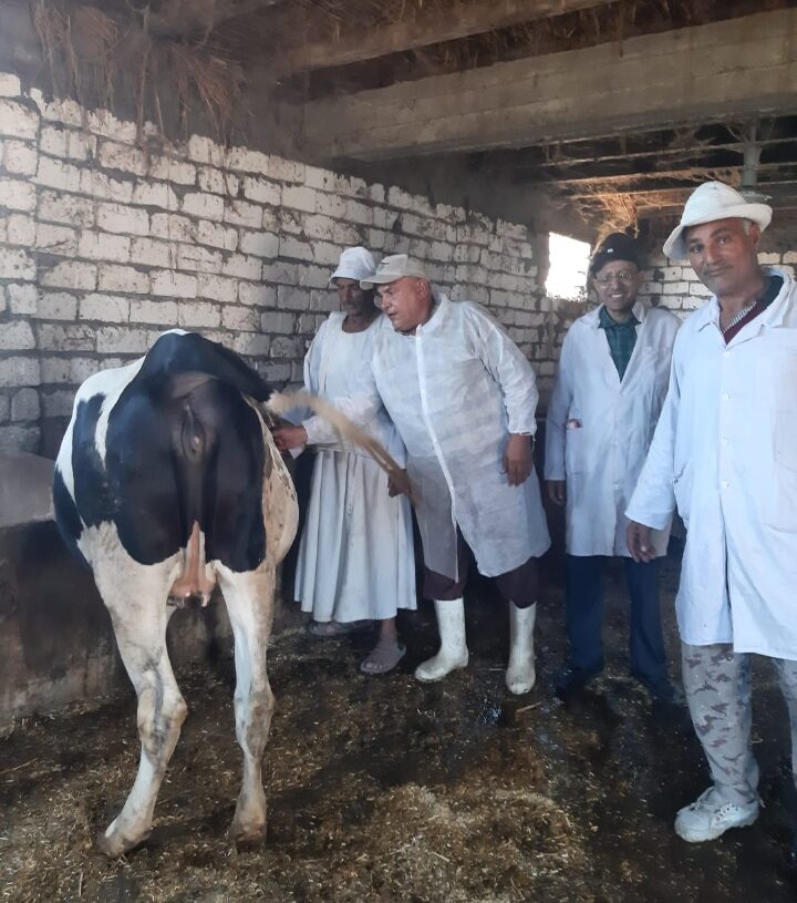 وزير الزراعة: 4 ملايين جرعة ضد الحمي القلاعية والوادي المتصدع خلال الحملة القومية الثالثة 27 - جريدة المساء