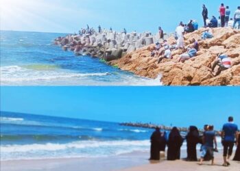 النائب الصمودى بكفرالشيخ يتقدم ببيان عاجل أمام مجلس النواب حول الشاب إيهاب 15 - جريدة المساء