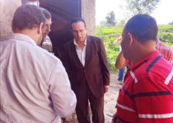 محافظ كفرالشيخ تحصين 25 ألف و631 رأس ماشية ضد حمى الوادي المتصدع والحمى القلاعية 19 - جريدة المساء