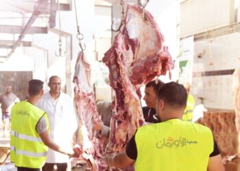 الاورمان : ذبح 45 عجل أضاحي بلدي فى مجزر كفرالشيخ بسخا 17 - جريدة المساء