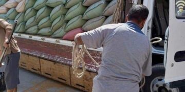 توريد أكثر من 110 آلاف طن قمح بسوهاج 1 - جريدة المساء