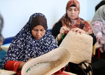 "أنت الحياة"بالتعاون بين قومى المرأة ومؤسسة حياة كريمة بالفيوم 21 - جريدة المساء