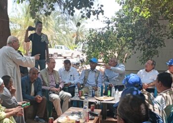 بحوث الصحراء ينفذ 75 مدرسة حقلية في الوادي الجديد بالتعاون مع الفاو 24 - جريدة المساء