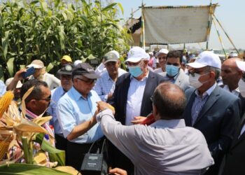 وزير الزراعة ومحافظ كفر الشيخ يطلقان فعاليات يوم الحقل السنوي بمحطة بحوث سخا 33 - جريدة المساء