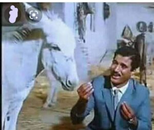 مهرجان الاسكندرية السينمائى يختار أفضل ١٠٠ فيلم كوميدى فى تاريخ السينما المصرية 23 - جريدة المساء