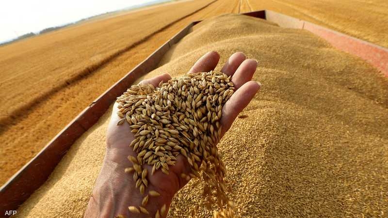 روسيا تعلق تطبيق اتفاق تصدير الحبوب الأوكرانية 20 - جريدة المساء روسيا تعلق تطبيق اتفاق تصدير الحبوب الأوكرانية 19 - جريدة المساء