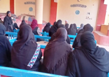 تنظيم 21 من جلسات الدوار للتوعية المجتميعة داخل 9 قرى بمراكز إدفو وكوم أمبو ونصر النوبة 21 - جريدة المساء