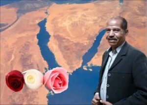 أكتوبر ،"تلات وردات" .. إطلالة أدبية أنيقة بروح النصر للشاعر عبدالله الهادي الصقر 21 - جريدة المساء