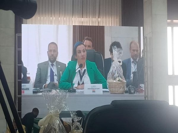 وزيرة البيئة والمنسق الوزارى ومبعوث مؤتمر المناخ تستعرض المبادرات العالمية التي ستطلقها مصر خلال مؤتمر المناخ cop27 19 - جريدة المساء