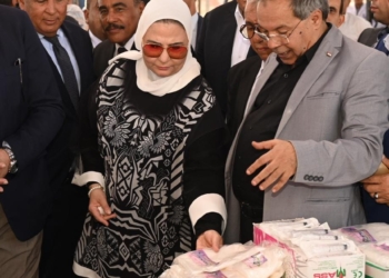 "القباج": زيادة عدد مشروعات التمكين الاقتصادي لسيدات الوادى الجديد 19 - جريدة المساء