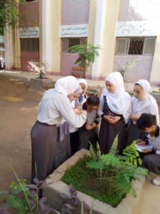 التبين التعليمية تحتفل بمرور ٢٠٠ عام على علم المصريات بمتحف ركن الملك فاروق  27 - جريدة المساء