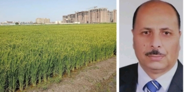 د.حمدي الموافي : محصول الأرز يبشر بالخير،وانتهاء إختبارات التجانس والأمراض والقيمة الزراعية للسلالات الجديدة 2 - جريدة المساء د.حمدي الموافي : محصول الأرز يبشر بالخير،وانتهاء إختبارات التجانس والأمراض والقيمة الزراعية للسلالات الجديدة 1 - جريدة المساء