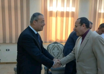 خطة استراتيجية طموحة لزراعة 100 مليون شجرة زيتون بشمال سيناء ومحافظات المحروسة 24 - جريدة المساء