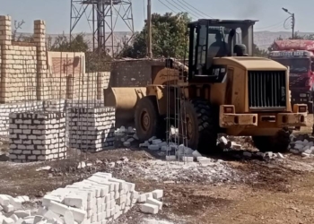 إزالة 36 حالة تعد على أملاك الدولة والزراعة بأسيوط 19 - جريدة المساء