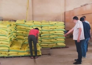 البدء في توزيع تقاوي القمح والشعير المدعم بمطروح 34 - جريدة المساء