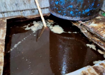 ضبط 2000 لتر زيت طعام مستعمل لإعاده تدويره وبيعه ببلقاس 35 - جريدة المساء