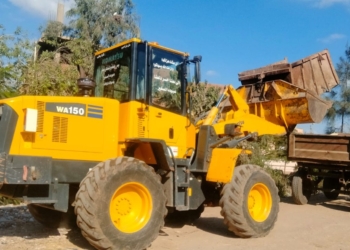 فى كفرالشيخ حملات نظافه وتمهيد الطرق وزراعة الأشجار بمدن ومراكز المحافظه 33 - جريدة المساء