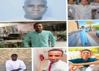 وفاة 7 اشخاص واصابة 8 أخرين في انقلاب ميكروباص في الطريق الصحراوي باسوان 21 - جريدة المساء