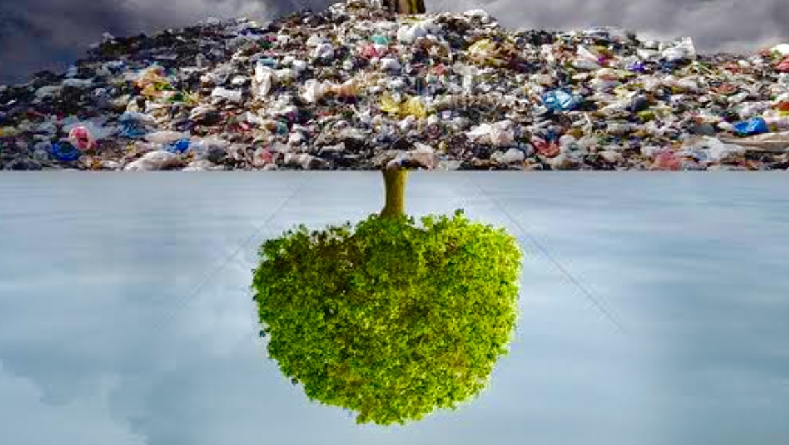 كوب ٢٧ .. دعوة لانقاذ عالم الانسان من الفناء علي كوكب الأرض 19 - جريدة المساء