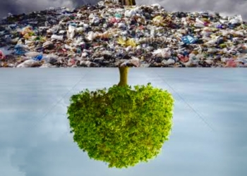 كوب ٢٧ .. دعوة لانقاذ عالم الانسان من الفناء علي كوكب الأرض 35 - جريدة المساء