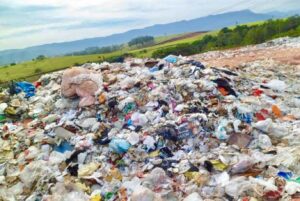 كوب ٢٧ .. دعوة لانقاذ عالم الانسان من الفناء علي كوكب الأرض 25 - جريدة المساء