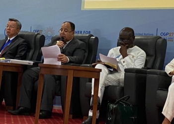 د. معيط: نتطلع إلى حلول ملموسة لتعزيز التعافي الاقتصادي الأخضر للدول النامية وتخفيف عبء الديون السيادية 30 - جريدة المساء