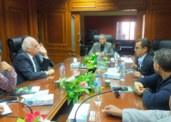 شعبة التسمين: خطة جديدة لخفض تكلفة إنتاج الدواجن وضبط الأسعار خلال الشتاء 23 - جريدة المساء