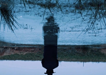 اليوم عرض "برنامج الأفلام القصيرة 3" ضمن فعاليات مهرجان القاهرة السينمائي بدورته الـ44 35 - جريدة المساء