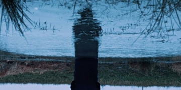 اليوم عرض "برنامج الأفلام القصيرة 3" ضمن فعاليات مهرجان القاهرة السينمائي بدورته الـ44 1 - جريدة المساء