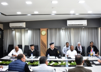 محافظ أسوان : إجراءات حازمة للحد من مشكلة شحوط البواخر السياحية 23 - جريدة المساء