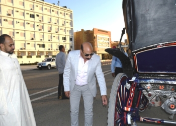 محافظ أسوان يتفقد نموذج التطوير والتجميل لأكثر من 100 عربة حنطور 18 - جريدة المساء