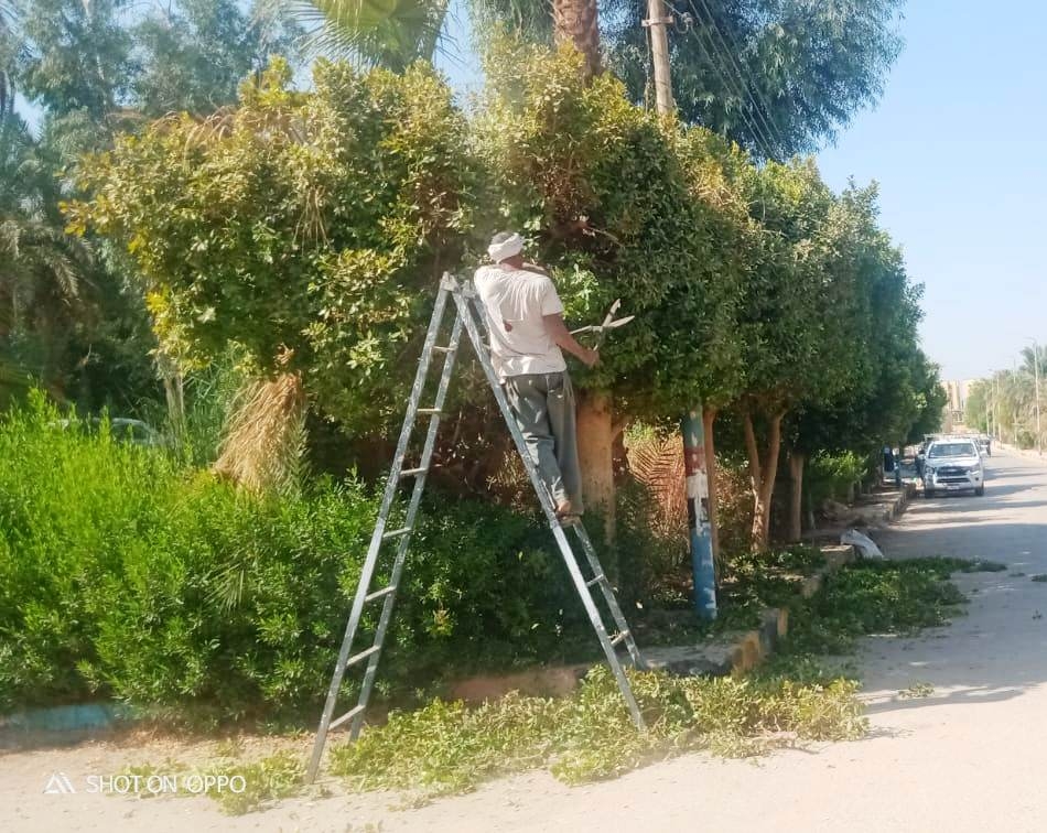 محافظ أسوان يشدد على تكثيف الجهود والأنشطة المبذولة يومياً للتصدى للإشغالات 19 - جريدة المساء