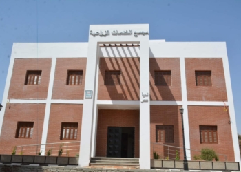 محافظ سوهاج يتابع الموقف التنفيذي للمشروعات ويوجه بإنهاء المتبقي منها في أسرع وقت 17 - جريدة المساء