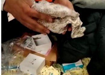 كوكتيل مخدرات مع راكبة أجنبية قادمة من تركيا 23 - جريدة المساء