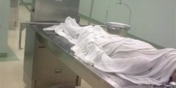 "سردينة" هشم رأس والده بالعريش وخلص عليه بالسكين وهرب بالزراعات 1 - جريدة المساء