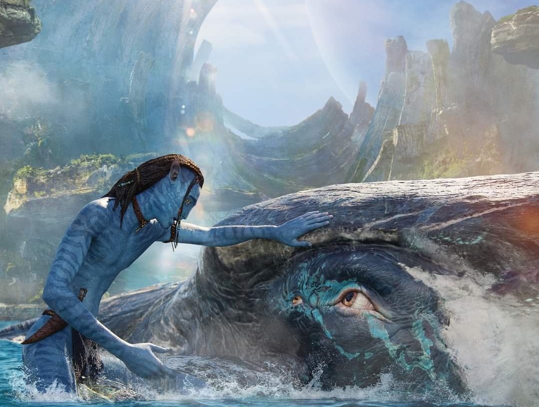 اليوم يبدأ عرض الجزء الثاني من "Avatar" ب ١٠٠ حفلة يوميا بدور العرض 17 - جريدة المساء اليوم يبدأ عرض الجزء الثاني من "Avatar" ب ١٠٠ حفلة يوميا بدور العرض 16 - جريدة المساء