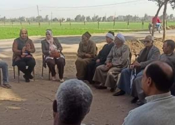 لتحقيق أعلى إنتاجية.. ندوات إرشادية عن القمح لمزارعي الشرقية 28 - جريدة المساء