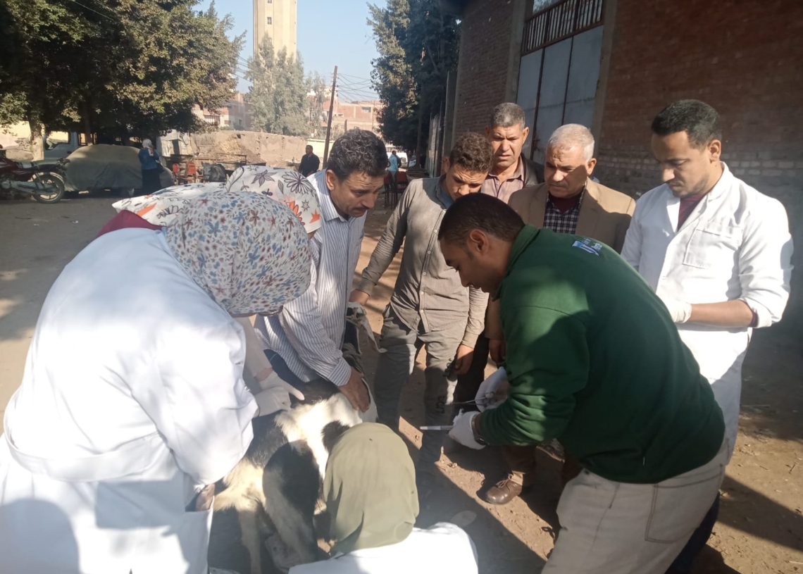 ضمن مبادرة "حياة كريمة" قافلة بيطرية وزراعية مجانية لجامعة السادات بقرية "بنى غريان" 19 - جريدة المساء