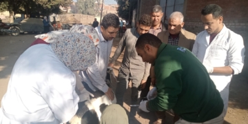 ضمن مبادرة "حياة كريمة" قافلة بيطرية وزراعية مجانية لجامعة السادات بقرية "بنى غريان" 1 - جريدة المساء