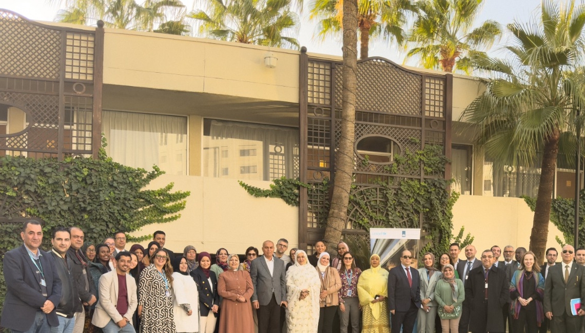 التضامن تشارك فى ورشة عمل لحماية الأطفال المنتقلين عبر الحدود فى الشرق الأوسط وشمال إفريقيا 18 - جريدة المساء