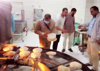 حملات تموينية مكبرة بكفر الشيخ لضبط المتلاعبين 19 - جريدة المساء