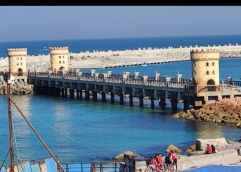 الري: تنفيذ 83% من مشروع حماية قلعة قايتباي بحاجز أمواج 31 - جريدة المساء