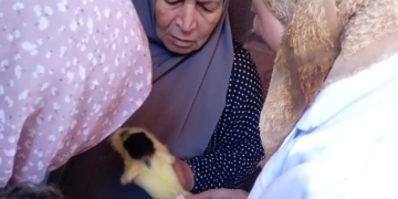 تحصين 64 ألف طائر من مرض أنفلونزا الطيور والأمراض الوبائية بقرى كفر الشيخ 1 - جريدة المساء