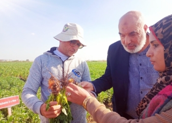 محافظ كفر الشيخ محطة البحوث الزراعية بسخا ملتزمه بالبحوث التطبيقية التي تواجه التحديات الحالية من تغيرات مناخية 34 - جريدة المساء