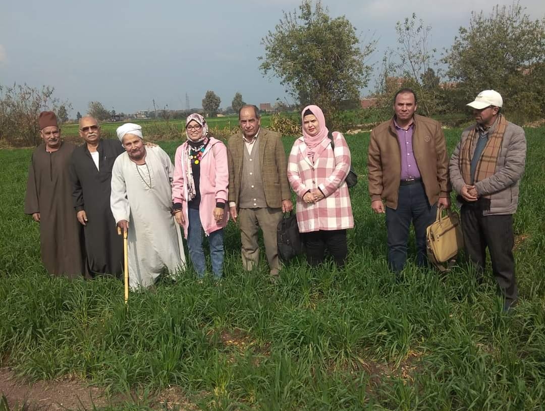 "الآفات والأمراض التى تصيب محصول القمح" في ندوة بزراعة الشرقية 19 - جريدة المساء